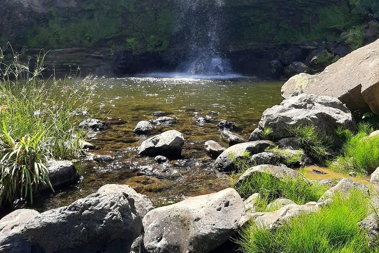 São Miguel: Moinho do Felix-Wanderung mit Besuch der Teefabrik