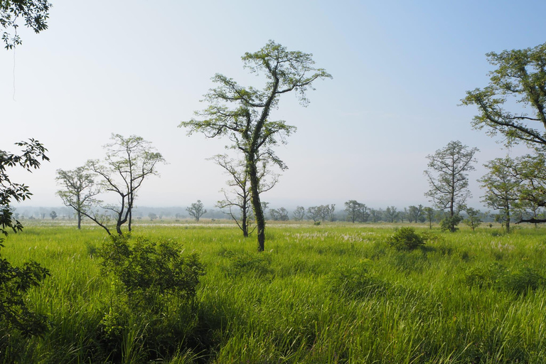 Chitwan National Park: Full-Day Jeep Safari with Lunch