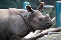 Seattle, Woodland Park Zoo Day Admission Ticket - Housity