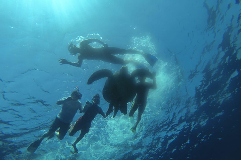 Lombok: Private Glass-Bottom Boat Tour with Snorkeling