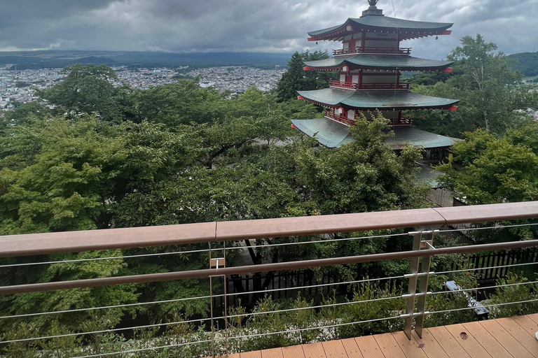 Depuis Tokyo : Excursion privée d&#039;une journée au Mont Fuji et à Hakone