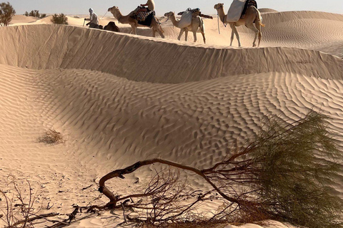 From Tunis, Hammamet & Sousse: Celebrate New Year's Eve in the desert (2 days/1 night) From Tunis, Hammamet, and Sousse: Celebrate New Year's Eve in the desert (2 days/1 night)