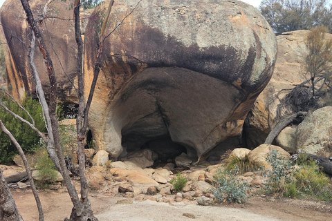 Perth: Wave Rock, Mulka's Cave, and Hippo's Yawn( Day Tour)