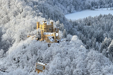 Neuschwanstein Private Half-Day Tour from Munich with Guide Neuschwanstein Half-Day Tour from Munich
