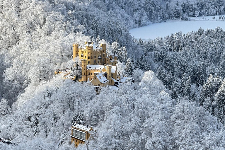 Neuschwanstein Private Half-Day Tour from Munich with Guide Neuschwanstein Half-Day Tour from Munich