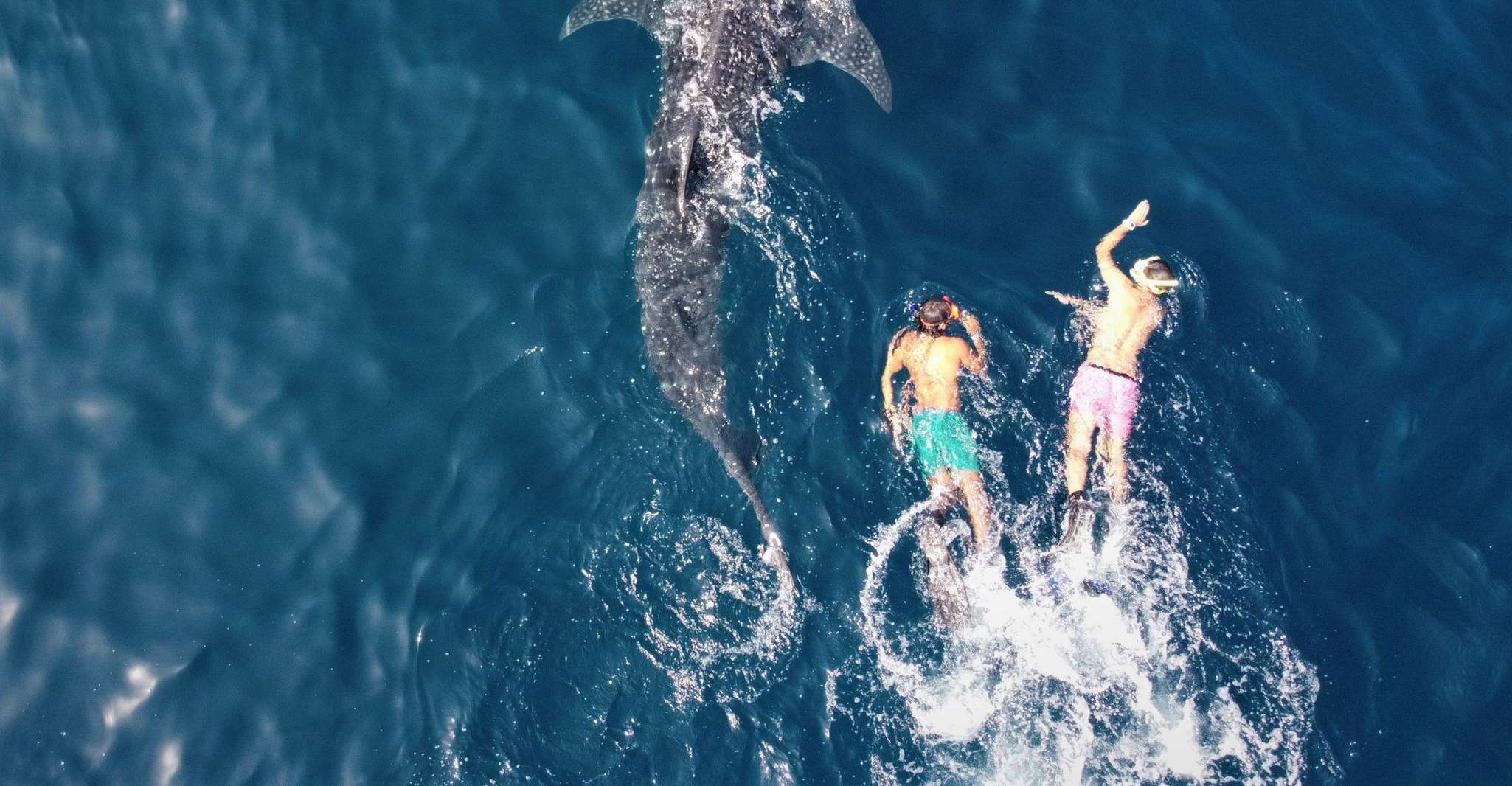Muscat, Daymaniyat Island Snorkeling Tour - Housity