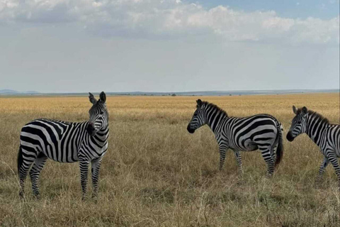 Nairobi: Giro in barca del Lago Naivasha e Parco Nazionale Hell&#039;s GateNairobi: escursione di un giorno alla Porta dell&#039;Inferno e al lago Naivasha