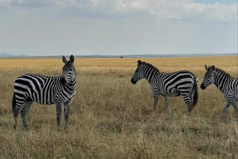 Nairobi: Giro in barca del Lago Naivasha e Parco Nazionale Hell&#039;s GateNairobi: escursione di un giorno alla Porta dell&#039;Inferno e al lago Naivasha