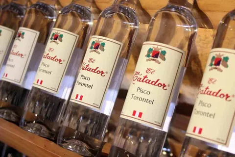 Depuis Huacachina/Ica : Dégustation de vin et de pisco dans les vignobles