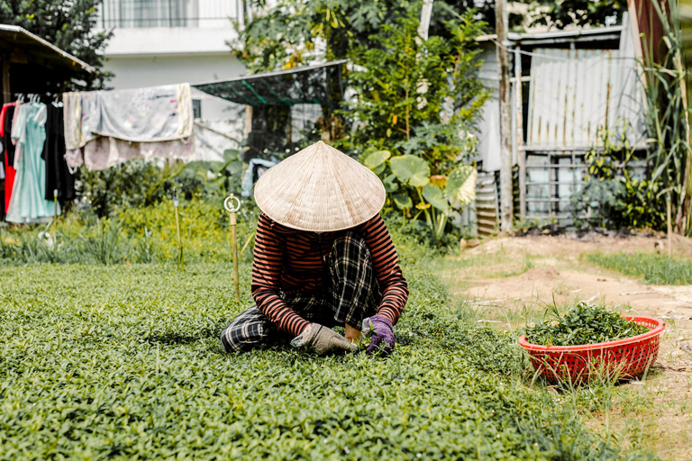 Hoi An Bites Food Tour with 15+ Tastings