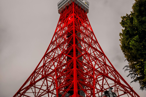 Tokyo - en dag En dag Charter Privat tur med engelsk förare