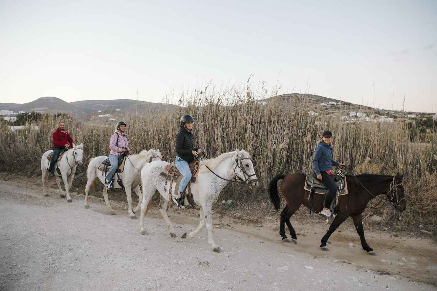 Paros: Horseback Riding Tour at Sunset