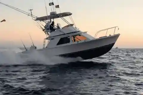 Cabo San Lucas: 33' Blackfin "Wahoo!" Fishing Charter