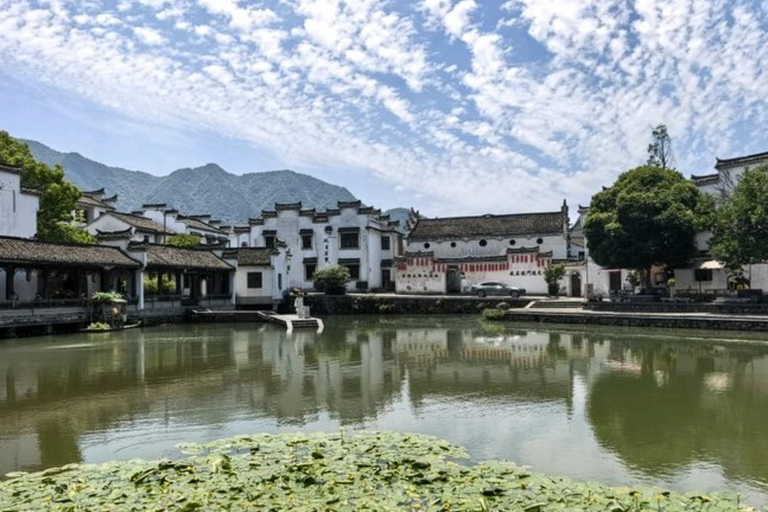 Shanghai: Fuyang Bayberry Picking & Ancient Town Day Trip