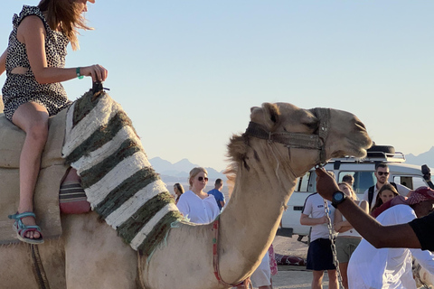 Hurghada: Camel Ride & horse ride and Off-Road Jeep Tour pickup from hotels inside hurghada
