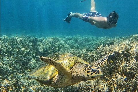 From Lombok: Full-Day Gili Gede, Rengit, & Layar Island Tour Private Tour with Meet at Harbor