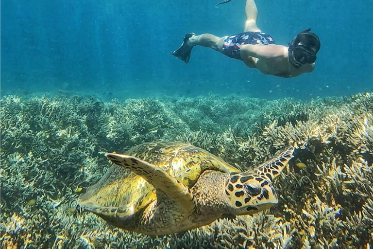 From Lombok: Full-Day Gili Gede, Rengit, & Layar Island Tour Private Tour with Meet at Harbor