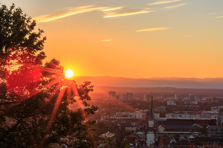 Freiburg: Veni, vidi, vino - wijnwandeling en proeverijFreiburg: Veni, vidi, vino - wijnproeverij