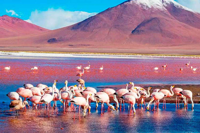 Perú and Bolivia 16 days 15 nights