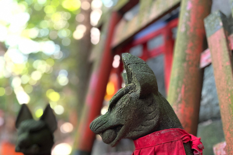 Tour serale di Fushimi-Inari a KyotoGuida turistica in lingua inglese