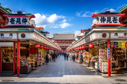 Tokyo Private Customizable City Highlights Guided Tour
