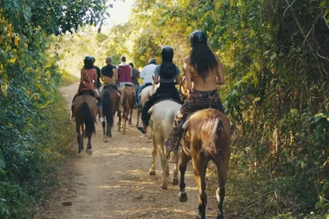 Passeio a cavalo em Punta Cana e pôr do sol + praia + transporte gratuito