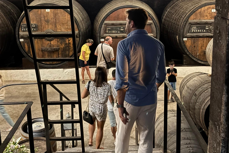 Porto: Douro Valley Train Tour, Cruise, Wine & Lunch
