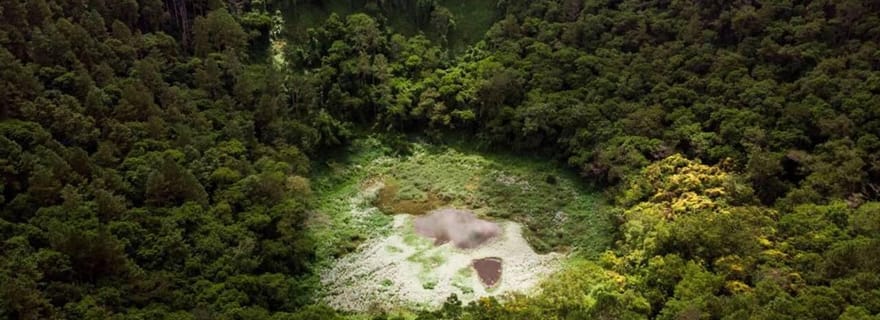 Île Maurice : excursion nature dans le sud avec points de vue et déjeuner