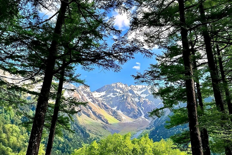 From Nagoya: Kamikochi & Matsumoto Private Transport Nagoya Transport Route | Up to 6 Guests
