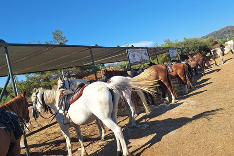 Zakynthos: Horse Riding Swimming Experience