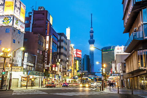 Tokyo: Private Luxury Day Tour with Hotel Pickup and DropOff