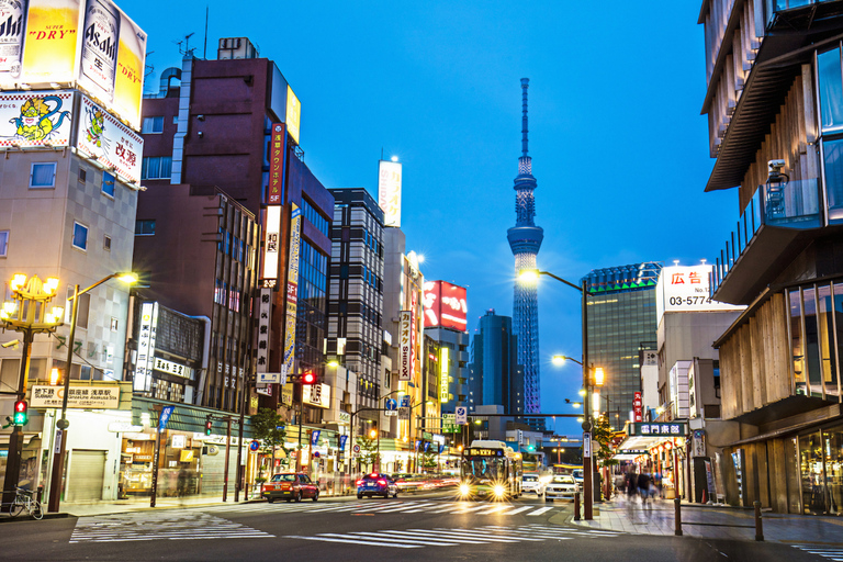 Tokyo: Private Luxury Day Tour with Hotel Pickup and DropOff