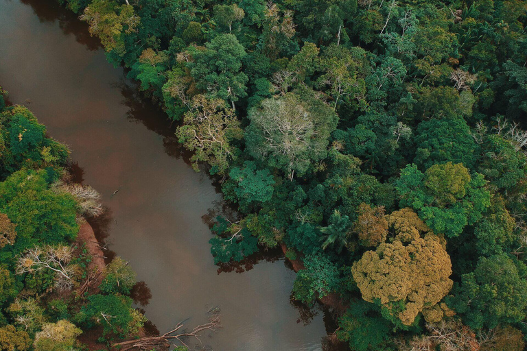 Dia inteiro na Reserva Pacaya Samiria | Vida selvagem