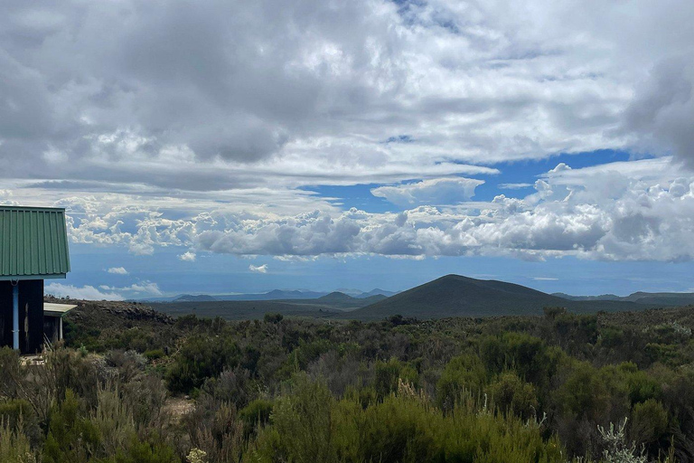 Kilimanjaro dagwandeling naar Shira Plateau