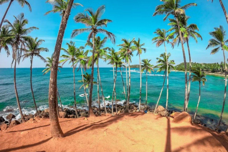 Hiriketiya: Mirissa Beach & Whale Watching Day Trip