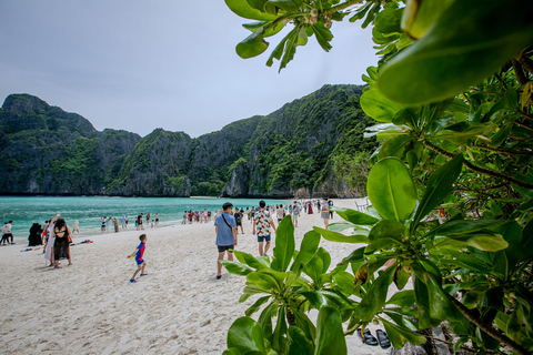 Phi Phi: Passeio de manhã cedo à Baía de Maya num barco de cauda longa