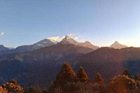 From Chitwan: 5-Day Poon Hill, Ghandruk Sunrise Trek
