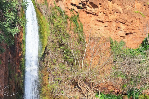 Desde Albufeira: Excursión de medio día en jeep por el campo