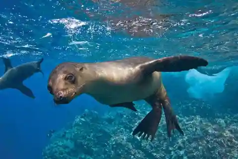 From Paracas ||Ballestas Islands + Paracas National Reserve