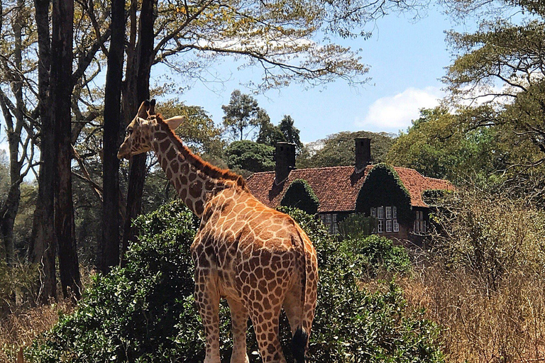 Nairobi National Park, Elephants, Giraffes & Bomas Day Tour