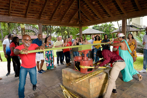 Appleton Estate Rum Tour: Full Day from Montego Bay