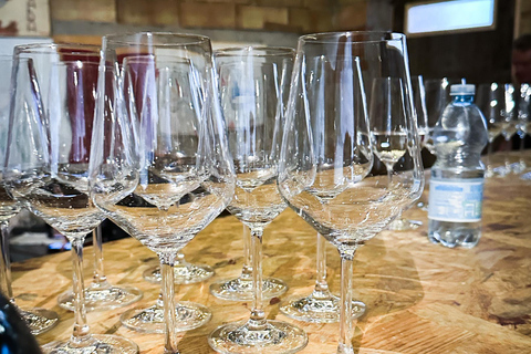 Mezzocorona: Teroldego Vineyard Tour and Wine Tasting Italian