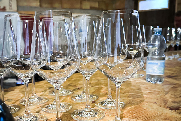 Mezzocorona: Teroldego Vineyard Tour and Wine Tasting Italian