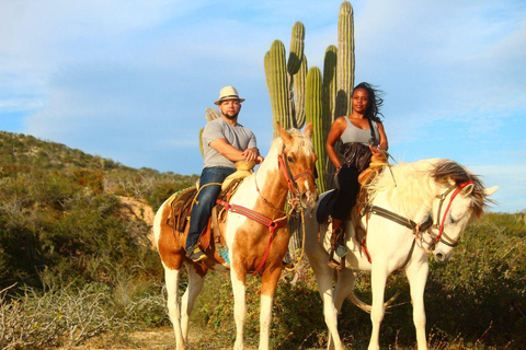 Cabo San Lucas: Reiten in Migriño mit Transfers