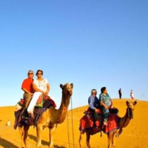 Visit Jodhapur Camel Safari And food in Jodhpur