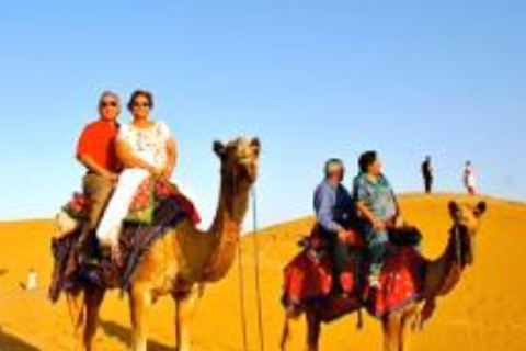 De echte Jodhpur kamelensafari in woestijn Wita Marwadi dinerKameeltocht en eten