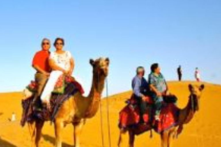El Verdadero Safari en Camello por Jodhpur En el Desierto Wita Cena MarwadiPaseo en camello y comida