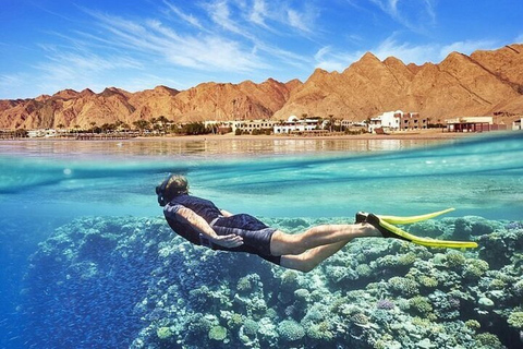 Sharm: Blue Hole Magic & Dahab Vibes w/Snorkeling & Lunch