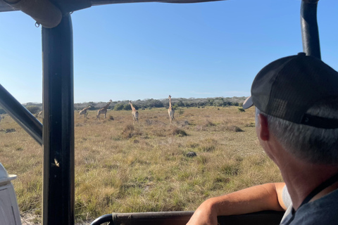 Maputo National Reserve Park Safari Excursion