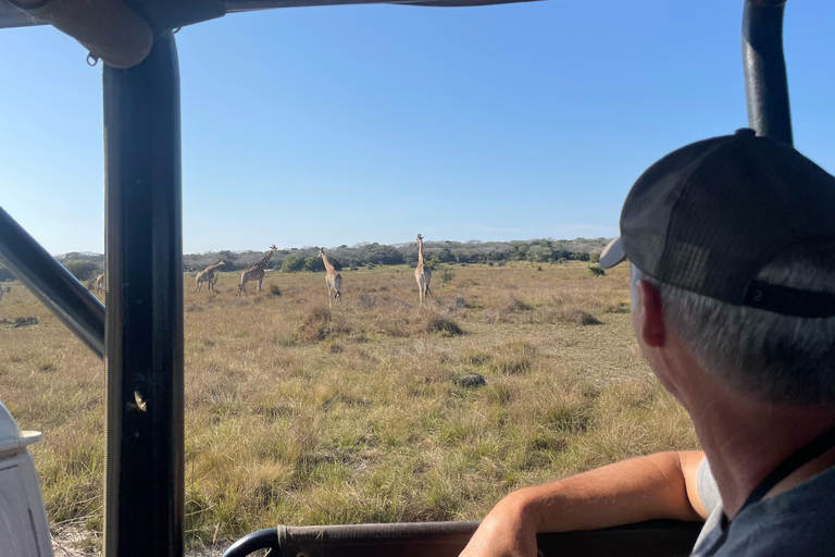 Maputo National Reserve Park Safari Excursion